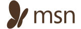 Msn logo