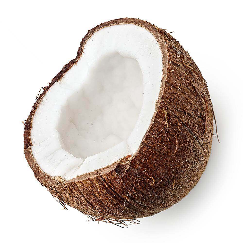 Close up of coconut 